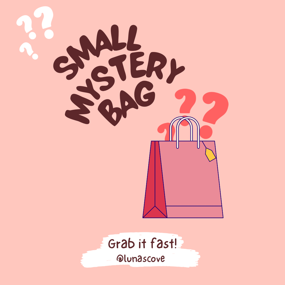 Small Mystery Bag