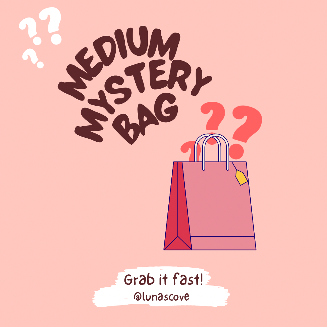 Medium Mystery Bag