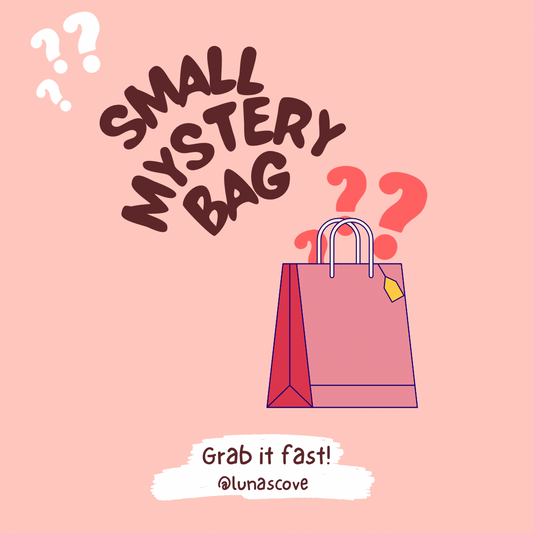 Small Mystery Bag