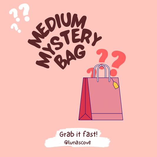 Medium Mystery Bag