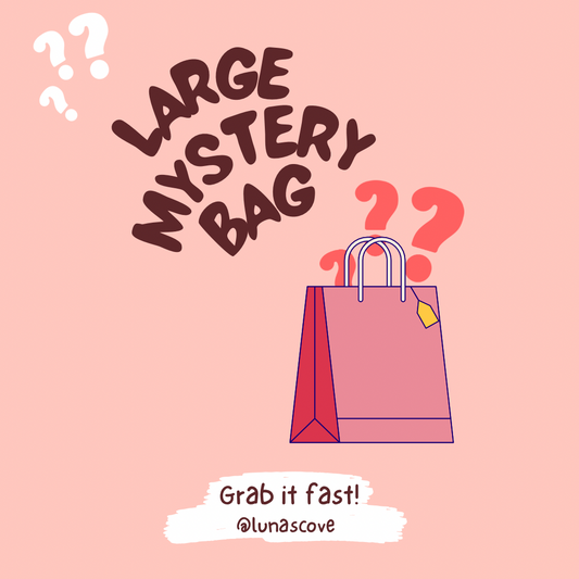 Large Mystery Bag
